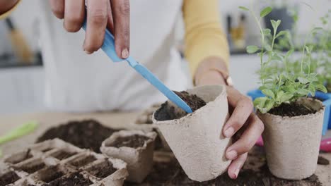 Midsection-of-biracial-woman-planting-herbs-in-kitchen-filling-starter-pot-with-soil,-in-slow-motion