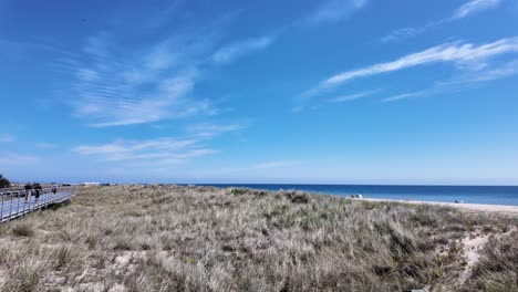 beach grass blowing gently in the breeze