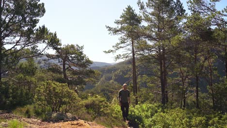 man coming into frame and walking past camera on hiking trail through pine forest - golden sunlight during hot summer morning - caucasian male static clip