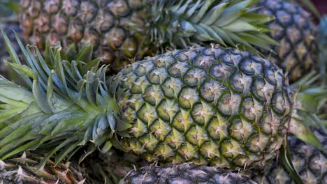 piñas frescas a la venta en feria libre