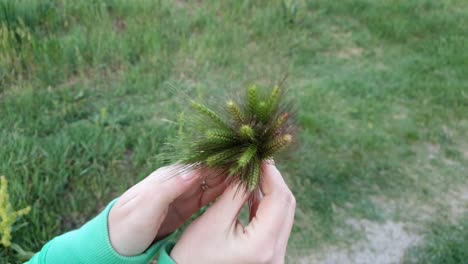 created a beautifully arranged bouquet of green grass