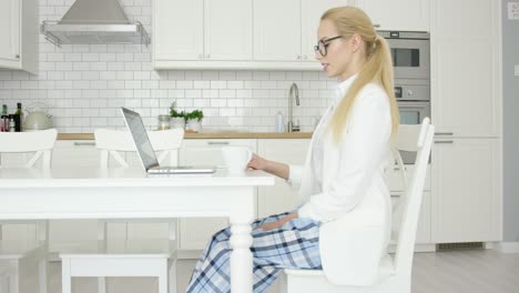 young successful woman using laptop