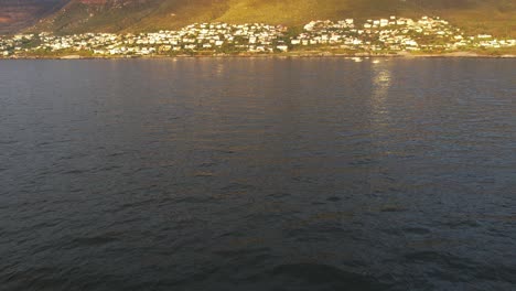 la revelación de simonstown al amanecer, ciudad del cabo