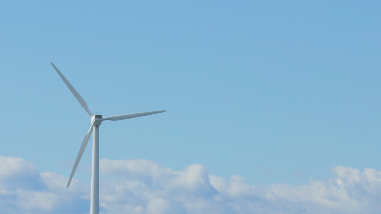 Large wind turbine rotates on a coastal beach under blue sky, seagull flying past