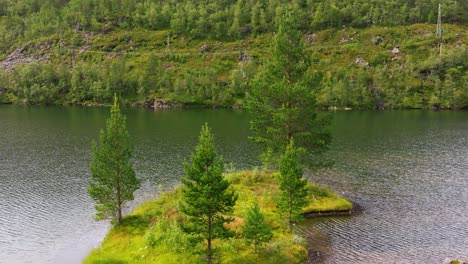 Árboles-De-Hoja-Perenne-En-Una-Pequeña-Isla-Cubierta-De-Hierba-Con-Reflejos-Brillantes-En-La-Superficie-Del-Agua,-Vista-Aérea-De-Noruega