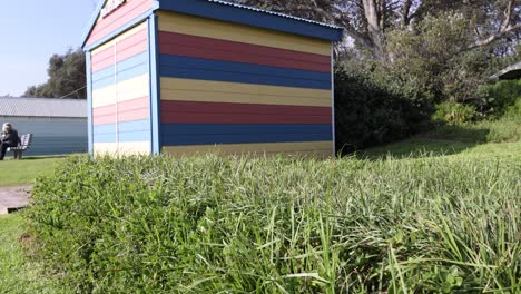 una vibrante caja de playa rodeada de exuberante vegetación