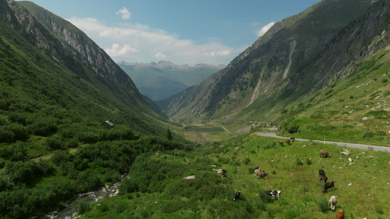 Volo aereo che passa davanti a un edificio a bordo strada, accanto a una tortuosa strada di valle, in direzione della valle del Passo del Grimsel nelle Alpi svizzere.