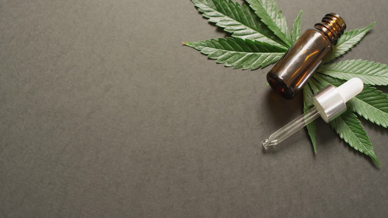 video di foglie di marijuana e bottiglia di estratto di cbd su sfondo grigio