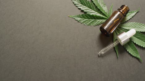 video de hojas de marihuana y una botella de extracto de cbd sobre un fondo gris