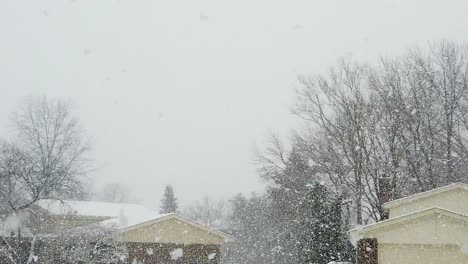 Snow-falling-on-a-cold-day-in-a-neighborhood-panning,-no-person