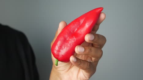 hand holding a red bell pepper