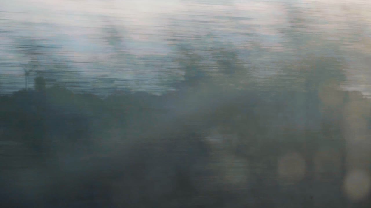 Countryside Landscape with Cows on Field, Wind Turbine in Sunrise, Car Ride View