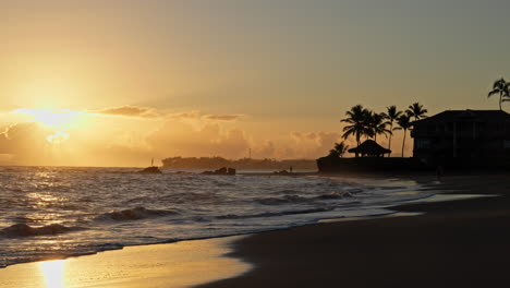scenic footage from punta cana and the dominican republic, showcasing turquoise caribbean waters, lush jungle, white-sand beaches, and vibrant tropical nature