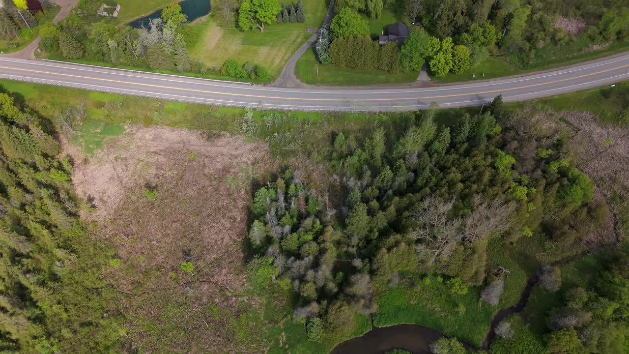 Forest and winding creek near road in caledon, ontario, canada, aerial view