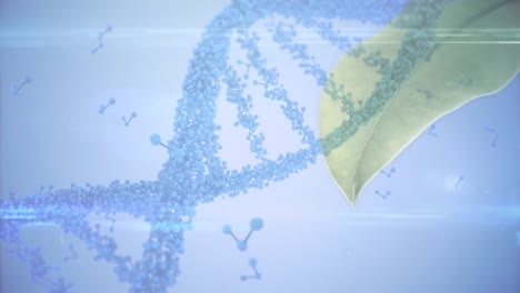 Animation-Eines-DNA-Strangs-über-Lichtspuren-Und-Blatt-Auf-Blauem-Hintergrund