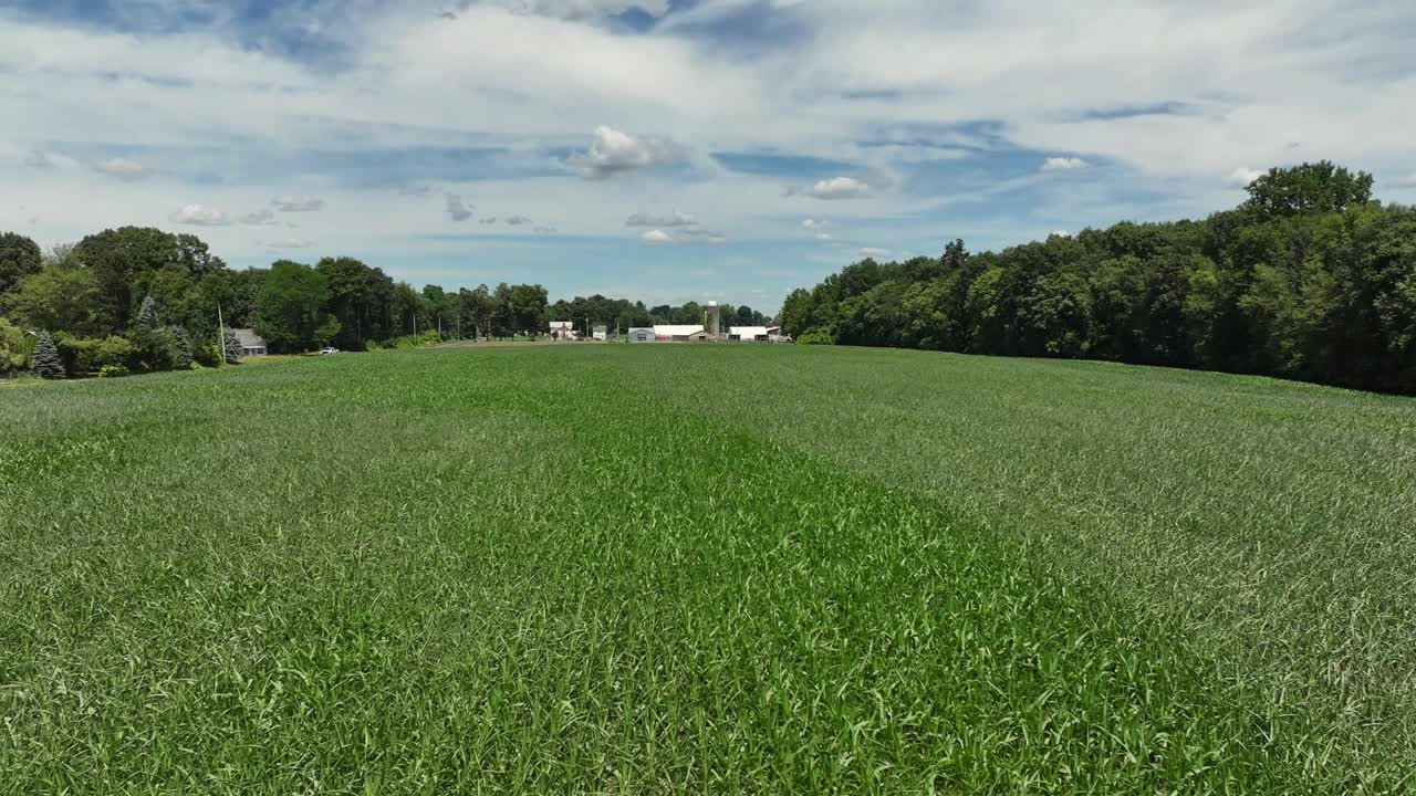 Aerial reverse reveal of corn field in Upstate New York