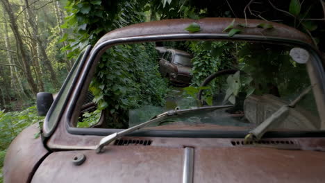 abandoned cars overgrown with vegetation in a forest
