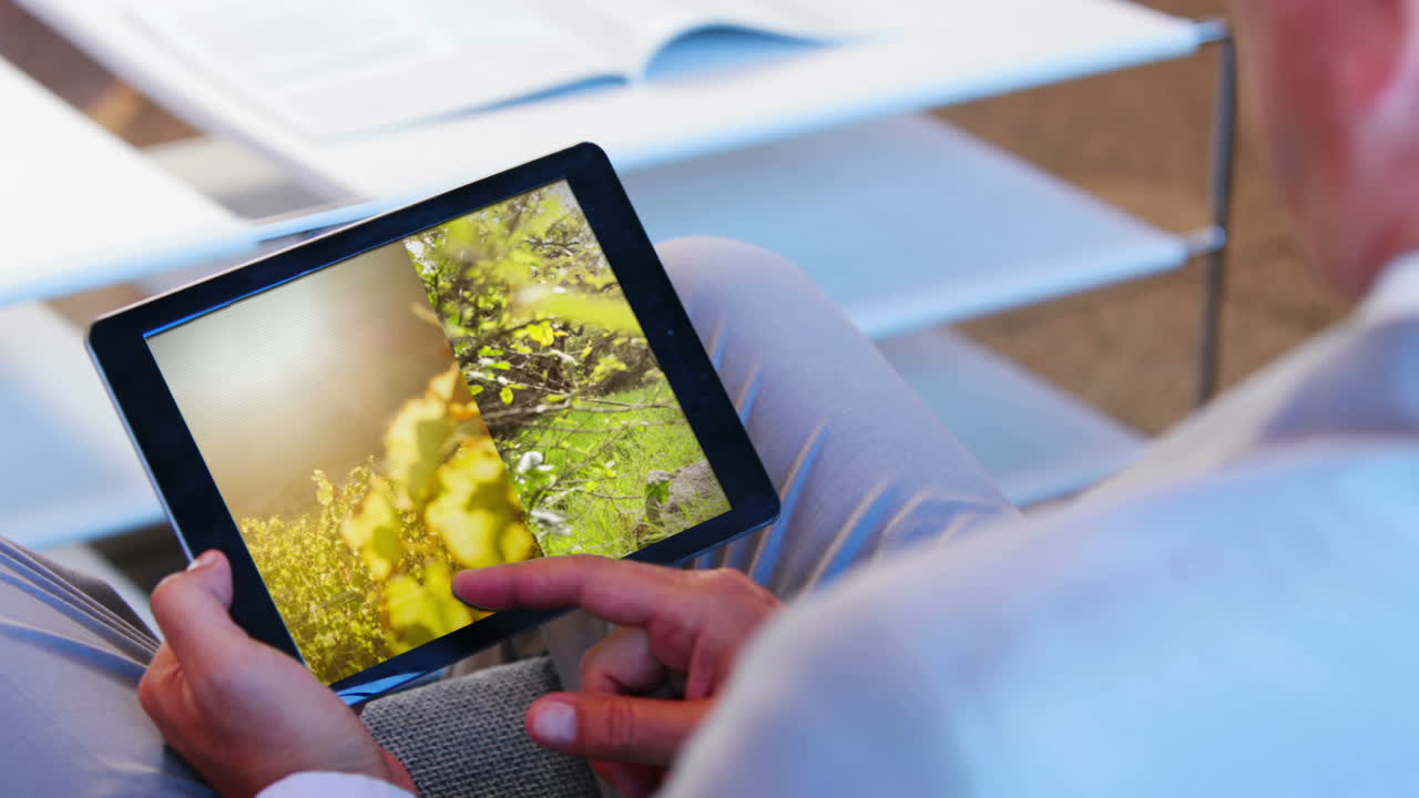 naturaleza generada digitalmente