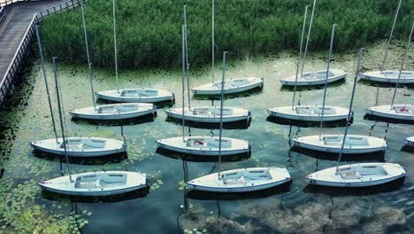 Scenic-view-of-several-sailboats-moored-close-to-the-lakeshore