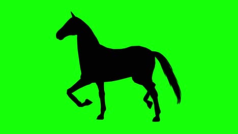 silhouette of a horse canter, on green screen, side view