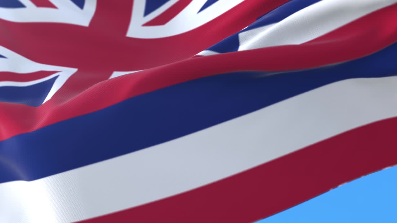 미국 하와이 주의 발이 바람에 흔들리고 있다.