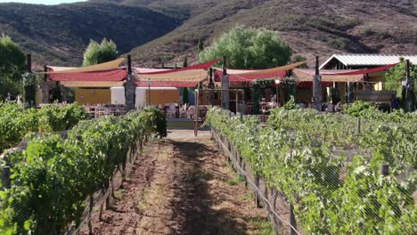 vista aérea de un lugar de celebración de bodas cerca de un viñedo