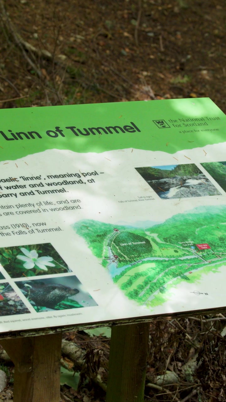 Kamera perlahan menggeser melewati papan nama hutan, dengan cahaya alami, latar hutan, dan konten edukasi terlihat.