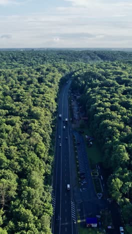 coche montado en la carretera a través del bosque en el campo