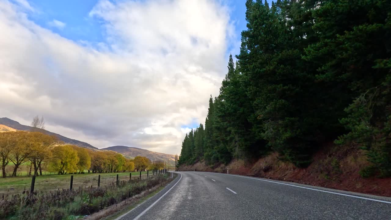 A serene drive along a tree-lined road in Wanaka, New Zealand, under a partly cloudy sky with vibrant greenery