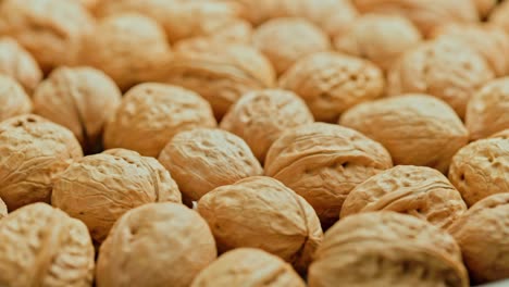 looped spinning walnuts with shells close-up full frame background