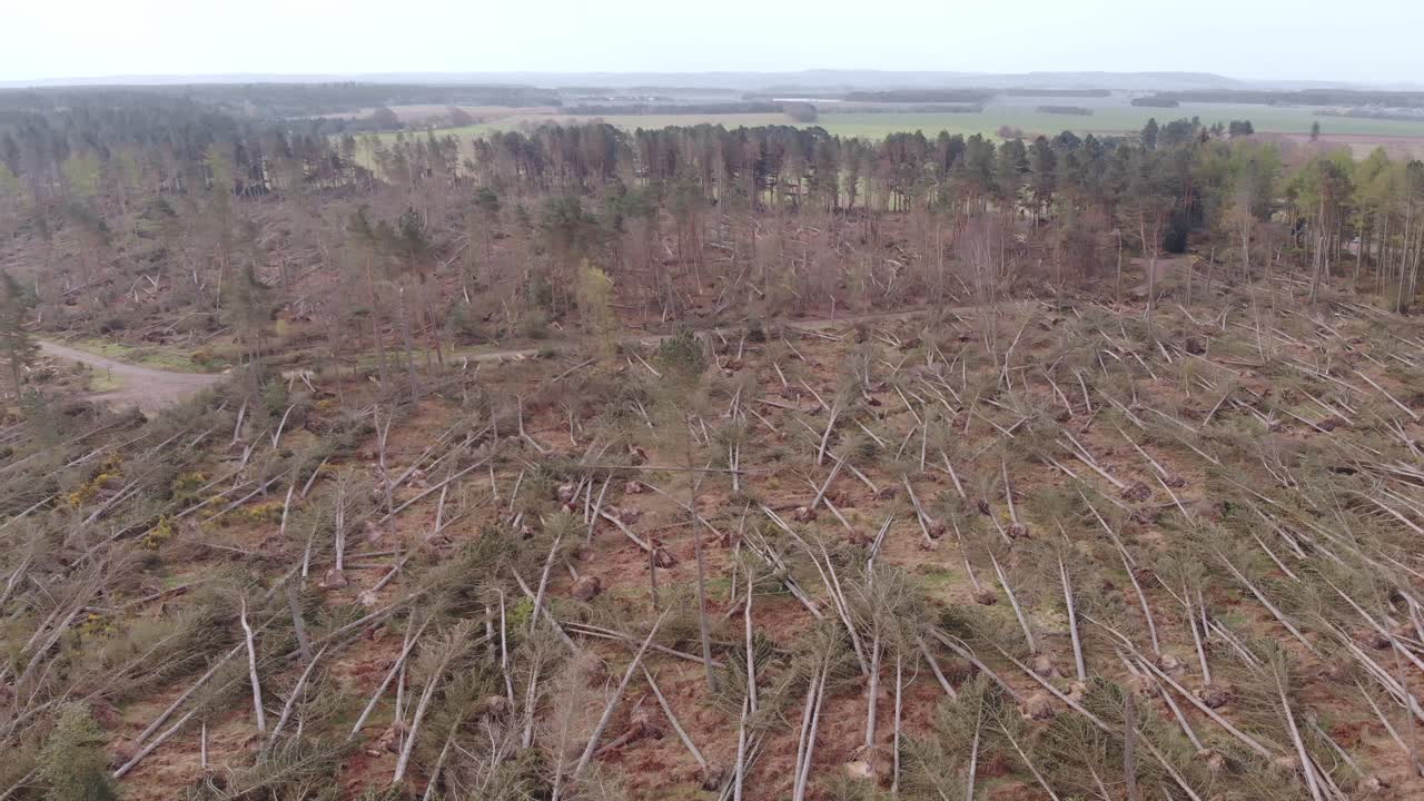 격렬한 폭풍 동안 손상된 숲의 드론 영상