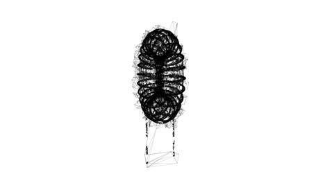 toroidal coil inductor. wireframe low poly mesh technology