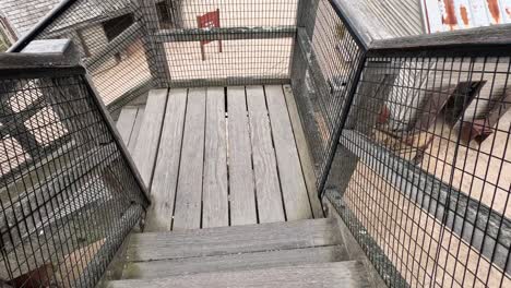 walking down stairs at historical site