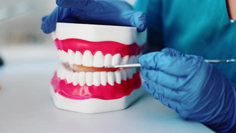 dental model with dentist tool