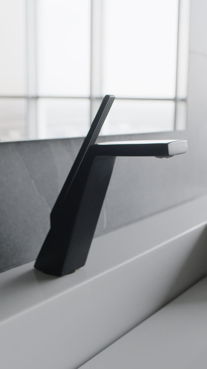 Modern Black Faucet in a Contemporary Bathroom
