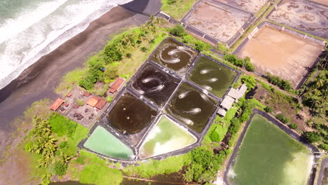 Ocean-tide-water,-seaside-scenery,-industrial-seafood-facility,-aerial