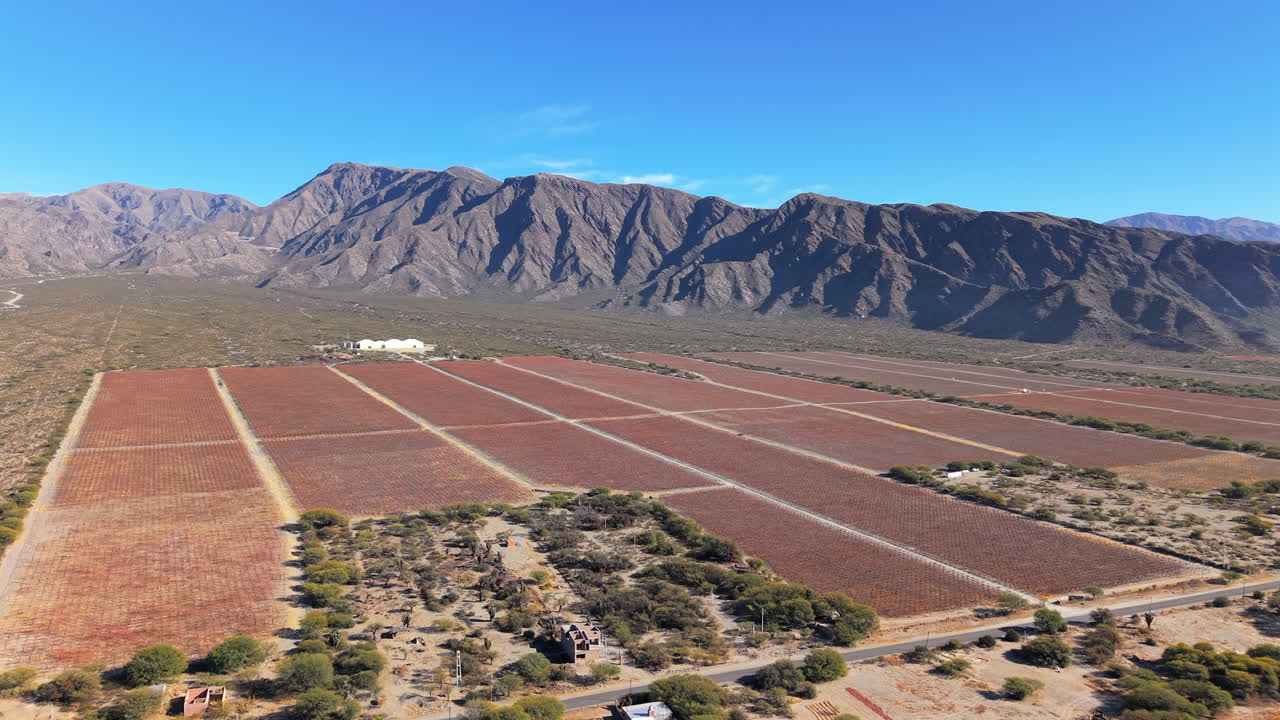 Aerial establishing fly Vineyard fields, Andean Cordillera Mountains in La Rioja, Argentina, famous wine production land