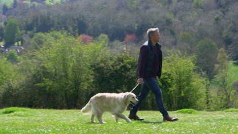 Mature-Man-Takes-Dog-For-Walk-In-Countryside-Shot-On-R3D