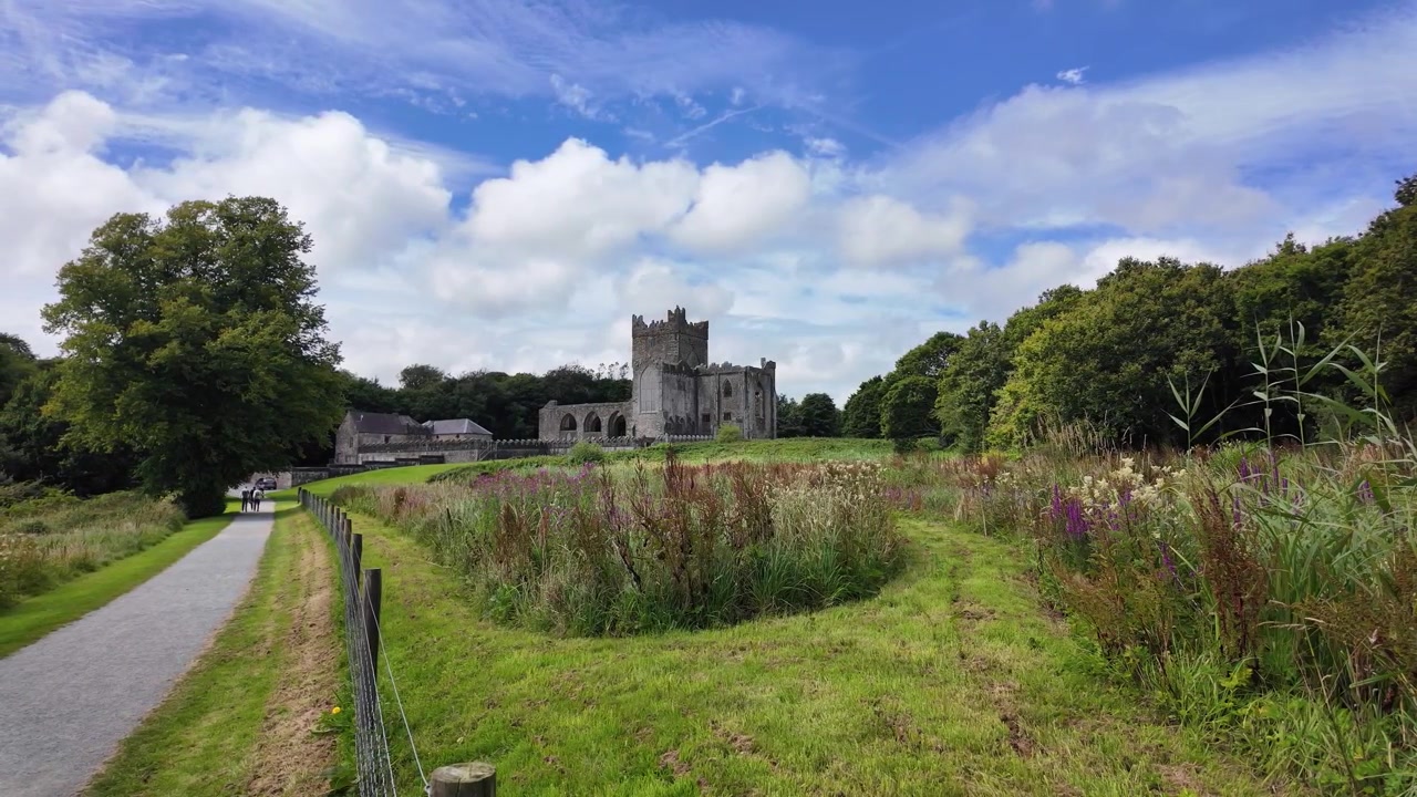 Luoghi epici dell'Irlanda: Abbazia di Tintern a Wexford, paesaggio dell'Abbazia e passeggiate nella campagna circostante in una giornata estiva