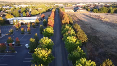 Video-De-Drones-Volando-Sobre-Una-Calle-Con-Hermosos-Y-Coloridos-árboles-De-Otoño