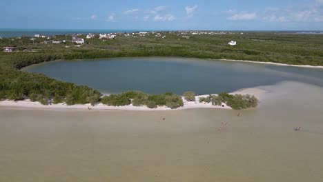 大角度無人機拍攝, 俯瞰紅樹林, 遇見加勒比海和墨西哥熱帶島 holbox 沿岸的白色沙灘,