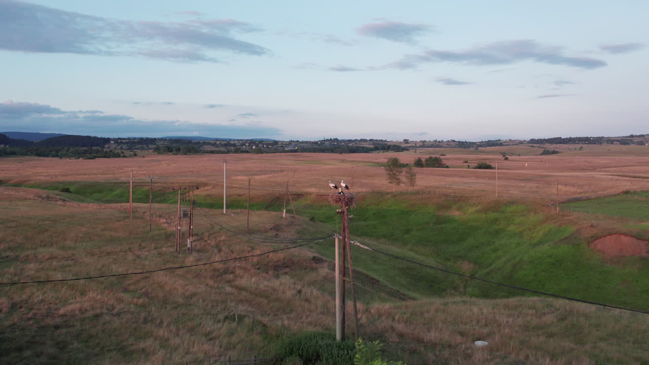 vista aérea de hermosos campos en una zona rural de nido de cigüeña