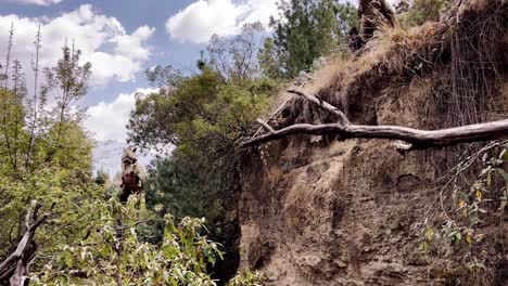 A dinosaur standing amidst trees with rugged terrain and cloudy skies in the background