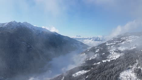 picturesque alpine landscape with coniferous forest growing on snowy mountain slope