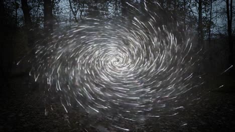 a dynamic visual of a whirling vortex in nature, capturing the energy and motion of the swirling lights and leaves amidst a forest background