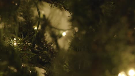 hasta la temporada de fotos navideñas de cerca