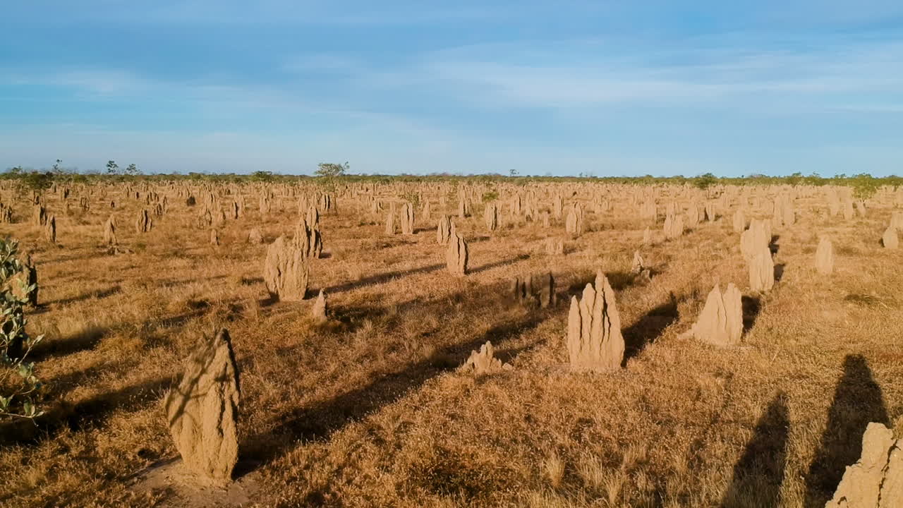 video cinematográfico de drones de pináculos famosos en el interior de australia durante la hora dorada del atardecer