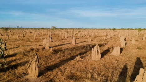 Video-Cinematográfico-De-Drones-De-Pináculos-Famosos-En-El-Interior-De-Australia-Durante-La-Hora-Dorada-Del-Atardecer