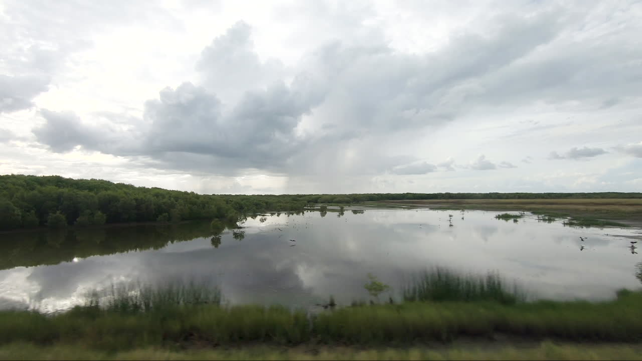 punto de vista del vehículo en movimiento a lo largo de los humedales con lluvia en el fondo y una gran piscina de agua en primer plano