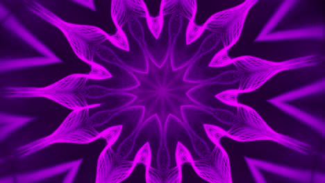 purple and black abstract design with star in the center. kaleidoscope vj loop